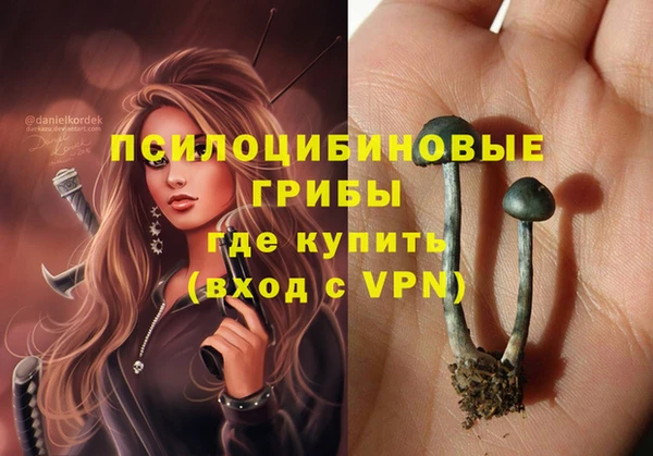 герыч Медногорск