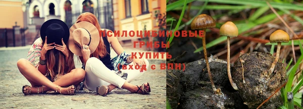 герыч Медногорск