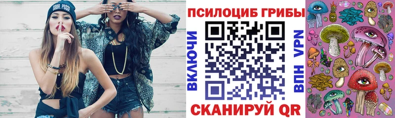 shop какой сайт  купить наркоту  Зарайск  Галлюциногенные грибы ЛСД 